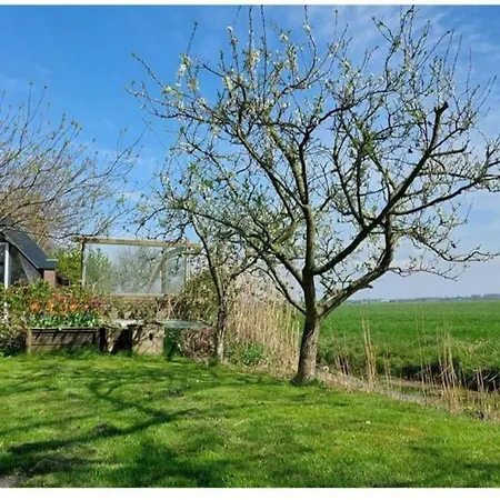 House Near Amsterdam And Opmeer