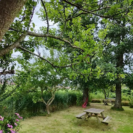 Holiday home House Near Amsterdam And