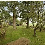House Near Amsterdam And